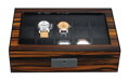 Pudełko na zegarki Rothenschild RS-22386-10EB